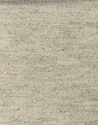 T-005